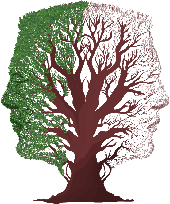 Contacto Berta Permuy